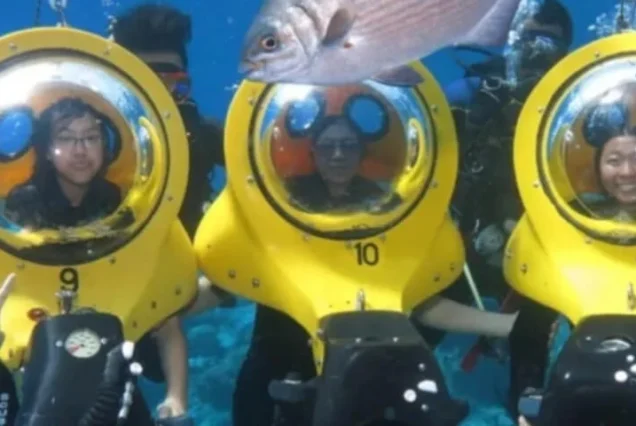 Scuba-Doo Adventure